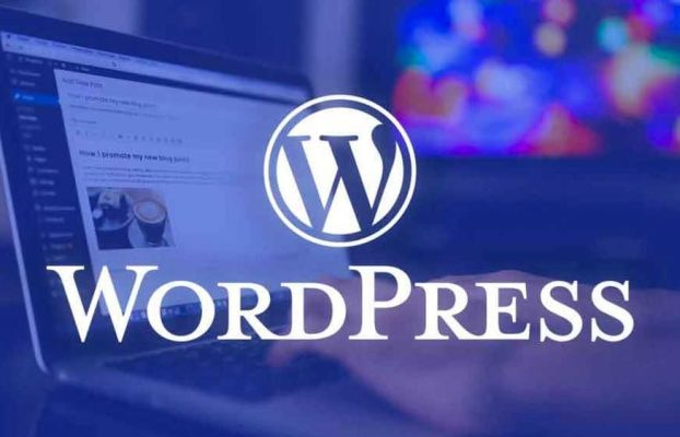 Neden WordPress Tercih Etmelisiniz?