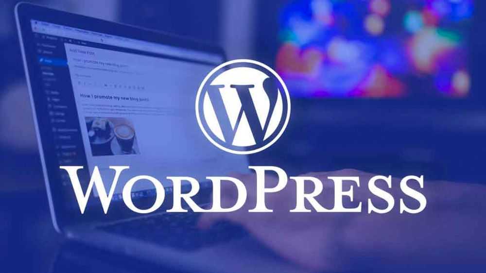 Neden WordPress Tercih Etmelisiniz?