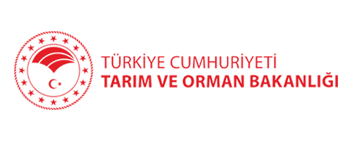 Image link